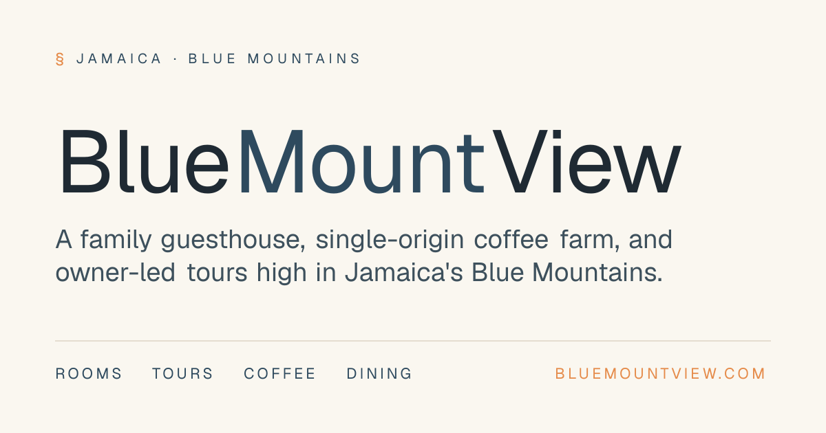 BlueMountView Guesthouse in Kingston